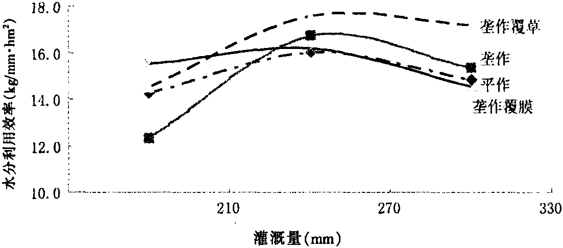 壟作和灌水對河西綠洲灌區(qū)啤酒大麥產(chǎn)量和水肥利用率的影響